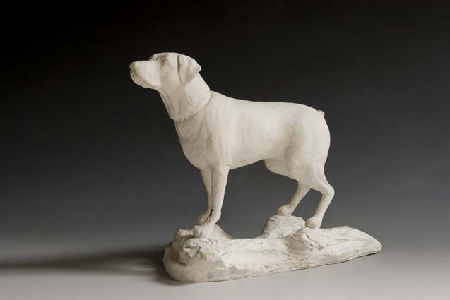07-dog-labrador1